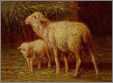 Ewe with Sweet Lamb