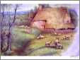 Ewes and Lambs By a Cottage