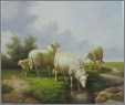 Ewes Lamb at Water