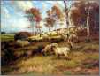 Fall Flock at Pasture