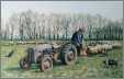 Farmer with Tractor Feeds Sheep Hay in Spring
