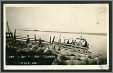 Ferrying Sheep Columbia River Umatilla Oregon Rppc