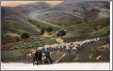 Flock with 2 Dogs Horse and Shepherd