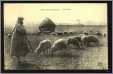 French Shepherd with Sheep