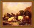 German Ewes with Lambs