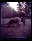 Girl with Lamb Grown