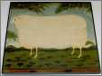 Kimble 11Hx12 White Sheep