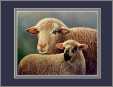 Lamb with Ewe