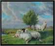 Landscape Sheep C