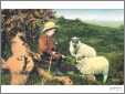 Little Boy with Cowboy Hat and Sheep