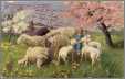 Little Girl with Big Sheep in Spring