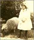 Little Girl with Sheep