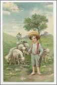 Little Shepherd Boy with Lamb Flock