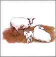 Lovely Sheeptile