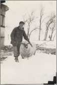 Man in Snow with Sheep