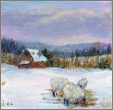 Minature Sheep on Snow