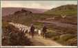 Moorland Road Dartmoor Shepherd and Sheep