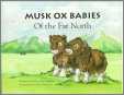 Musk Ox Babies