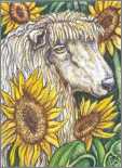 Mystic Sunflower Sheep