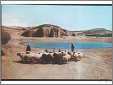 Navajo Shepherds with Their Sheep