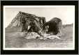 Navajo Women Shearing