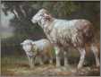 Nice Ewe and Lamb1