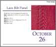 Oct 26Lace Rib Panel Knit
