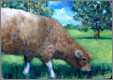 Original Oil Grazing Sheep