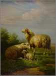Pastoral Sheep