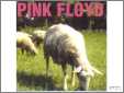 Pink Floyd Sheep