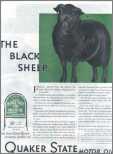 Quacker State Black Sheep