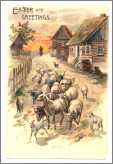 Quaint Sheep Going to Pasture