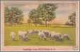 Redfield New York Sheep Meadow