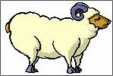 Running Cartoon Ewe with Horns