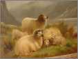 Scottish Highland Sheep Oil W Jackson 1174