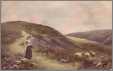 Sheep and Girl Postcard Faulker
