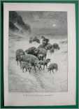 Sheep and Shepherd in Snow