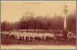 Sheep and Shepherd Vosges France C 1910