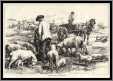Sheep at Lambing Time 1887