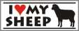 Sheep Bumper Sticker