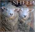 Sheep Calendar 2004