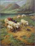 Sheep Coming Down the Mountain