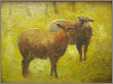 Sheep Couple