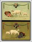 Sheep Easter Cards