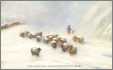 Sheep Edwardian Postcard Homeward in Snow C1905