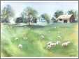 Sheep Farm