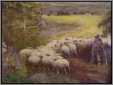 Sheep Flock with Shepherd