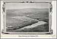 Sheep Gathering Port Stephens West Falklands C 1900S