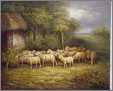 Sheep Going to Barn