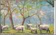 Sheep Graze in the Orchard